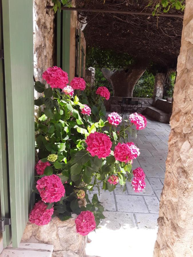 Mas De L'Ile Bed & Breakfast Avignon Exterior photo