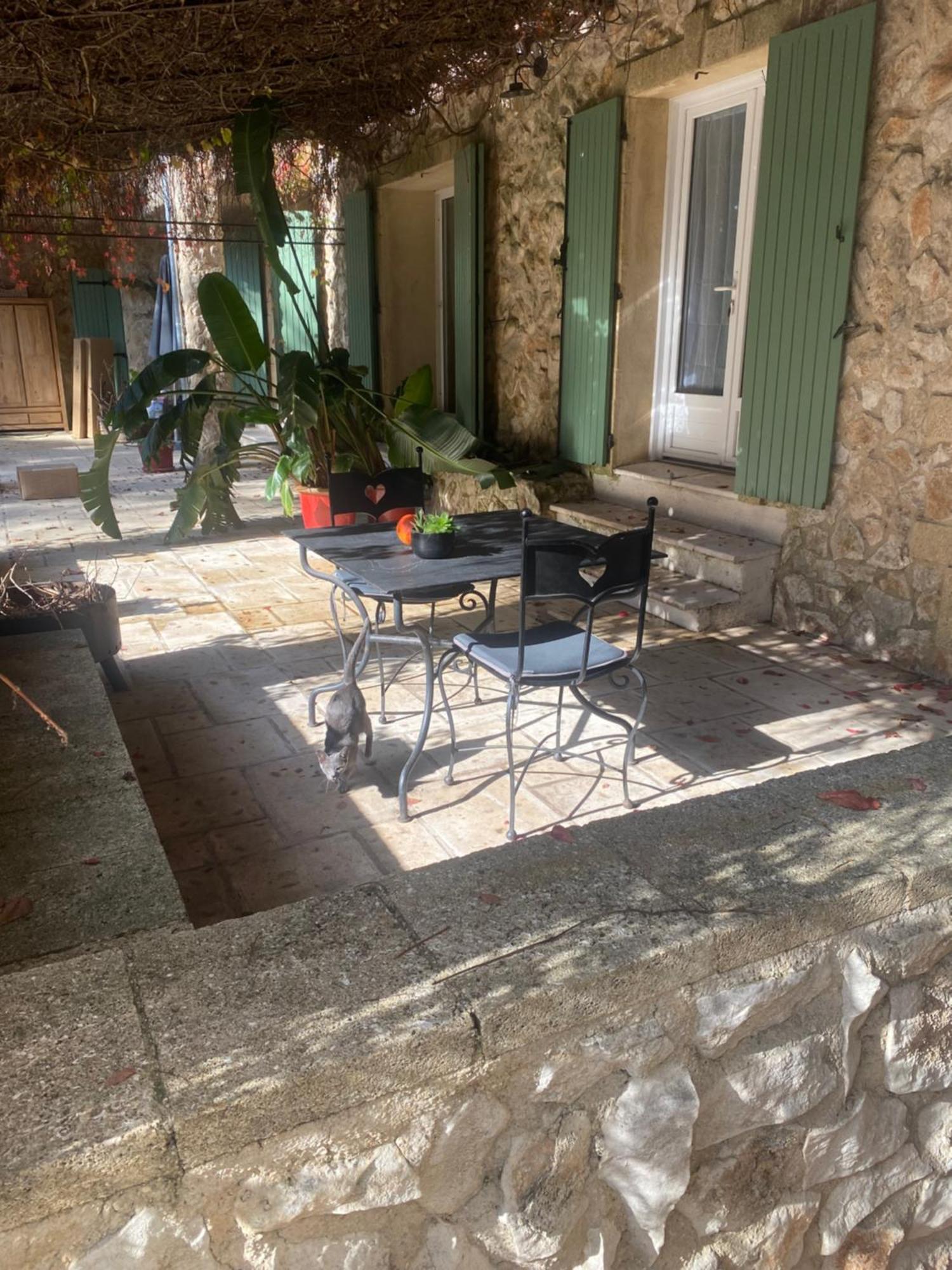 Mas De L'Ile Bed & Breakfast Avignon Exterior photo