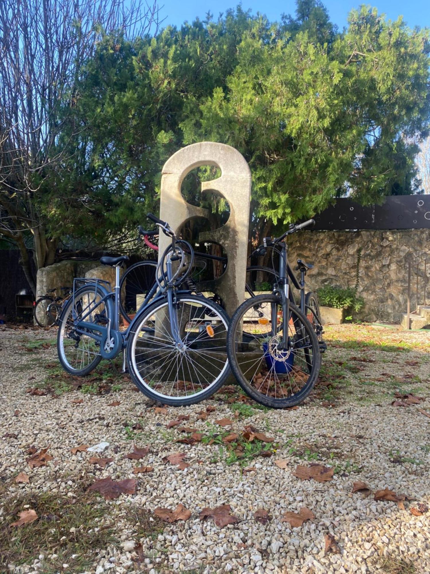 Mas De L'Ile Bed & Breakfast Avignon Exterior photo